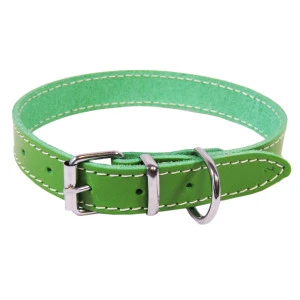 <strong title="Exotic-K Zgarda L2 2.0/45 cm – Simplu – Verde – zgarda simplu pentru caini, zgarda caini verde, zgarda ajustabilă pentru câini, zgarda L2 2.0">Exotic-K Zgarda L2 2.0/45 cm – Simplu – Verde – zgarda simplu pentru caini, zgarda...</strong>