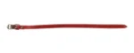<strong title="Exotic-K Zgarda L0 1.2/37 cm – Pasla Rosu – zgarda L0 1.2/37 cm, zgarda caini marimea 37 cm, accesorii pentru câini, zgarda caini rosie durabila">Exotic-K Zgarda L0 1.2/37 cm – Pasla Rosu – zgarda L0 1.2/37 cm, zgarda caini marimea 37...</strong>