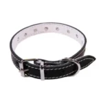 <strong title="Exotic-K Zgarda L2 2.0/45 cm – Ornament Negru – zgarda caini fashion, zgarda caini cu imprimeu, zgarda pentru câini, zgarda caini de talie mare">Exotic-K Zgarda L2 2.0/45 cm – Ornament Negru – zgarda caini fashion, zgarda caini cu...</strong>