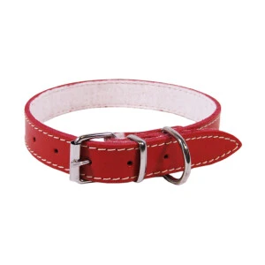 <strong title="Exotic-K Zgarda L3 2.5/53 cm – Pasla Rosu – zgarda pentru caini cu accesorii, zgarda rosie pentru animale de companie, zgarda pentru câini, zgarda L3 2.5/53 cm">Exotic-K Zgarda L3 2.5/53 cm – Pasla Rosu – zgarda pentru caini cu accesorii, zgarda rosie...</strong>