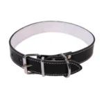 <strong title="Exotic-K Zgarda L4 3.0/62 cm – Pasla Negru – zgarda de protectie pentru caini, zgarda pentru câini de companie, zgarda pentru câini, zgarda cu inchidere rapida">Exotic-K Zgarda L4 3.0/62 cm – Pasla Negru – zgarda de protectie pentru caini, zgarda...</strong>