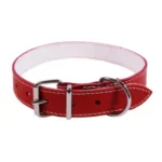 <strong title="Exotic-K Zgarda L4 3.0/62 cm – Pasla Rosu – zgarda caini pentru dresaj, zgarda caini pentru aventuri, zgarda pentru câini, zgarda caini ajustabila">Exotic-K Zgarda L4 3.0/62 cm – Pasla Rosu – zgarda caini pentru dresaj, zgarda caini pentru...</strong>