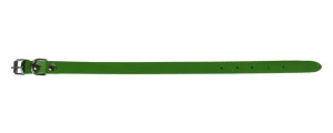 <strong title="Exotic-K Zgarda L1 1.6/40 cm – Simplu – Verde – zgarda caini, cum sa alegi zgarda pentru caine, zgarda ajustabilă pentru câini, zgarda pentru câini confortabilă">Exotic-K Zgarda L1 1.6/40 cm – Simplu – Verde – zgarda caini, cum sa alegi zgarda...</strong>