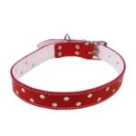 <strong title="Exotic-K Zgarda L5 4.0/63 cm – Ornament – Rosu – zgarda rosie pentru animale, zgarda caini cu ornament, accesorii pentru câini, zgarda ornamentala pentru caini">Exotic-K Zgarda L5 4.0/63 cm – Ornament – Rosu – zgarda rosie pentru animale, zgarda...</strong>