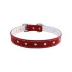 <strong title="Exotic-K Zgarda L3 2.5/53 cm – Ornament – Rosu – zgarda caini cu design, zgarda caini de talie mica, zgarda confortabilă pentru câini, zgarda caini cu ornament">Exotic-K Zgarda L3 2.5/53 cm – Ornament – Rosu – zgarda caini cu design, zgarda caini...</strong>