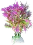 <strong title="Happet Planta Artificiala Pentru Acvariu, Blister, 10 cm, Roz/Verde, 1B12 – planta acvariu roz, plante acvariu 10 cm, accesorii acvariu, plante acvariu cu blister">Happet Planta Artificiala Pentru Acvariu, Blister, 10 cm, Roz/Verde, 1B12 – planta acvariu roz,...</strong>