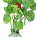 <strong title="Happet Planta Artificiala Pentru Acvariu, Blister, 10 cm, Verde, 1B23 – plante acvariu pentru decor, blister planta acvariu, accesorii acvariu, plante artificiale pentru acvarii de apa dulce">Happet Planta Artificiala Pentru Acvariu, Blister, 10 cm, Verde, 1B23 – plante acvariu pentru...</strong>