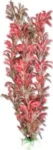 <strong title="Happet Planta Artificiala Pentru Acvariu, Blister, 40 cm, Rosu/Verde, 4B62 – plante acvariu pentru acasa, plante acvariu pentru pești tropicali, accesorii acvariu, plante acvariu verzi">Happet Planta Artificiala Pentru Acvariu, Blister, 40 cm, Rosu/Verde, 4B62 – plante acvariu...</strong>