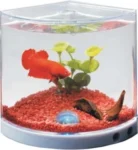<strong title="Happet Acvariu pentru Betta cu Baterie, 17 x 10 x 12 cm, H061 – acvariu cu baterie pentru pești, acvariu compact pentru Betta, acvariu ușor de întreținut, pești Betta în acvariu mic">Happet Acvariu pentru Betta cu Baterie, 17 x 10 x 12 cm, H061 – acvariu cu baterie pentru pești,...</strong>