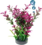 <strong title="Happet Planta Artificiala Pentru Acvariu, Cu Piatra De Aer, 19 cm, Mov/Verde, 0F13 – beneficii plante artificiale acvariu, plante artificiale pentru acvariu cu pesti, decor acvariu, plante acvatice pentru acvariu">Happet Planta Artificiala Pentru Acvariu, Cu Piatra De Aer, 19 cm, Mov/Verde, 0F13 – beneficii...</strong>