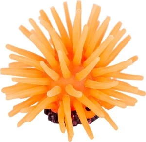 <strong title="Happet Decor Pentru Acvariu, Coral, 5x5x4 cm, R118 – decor acvariu pentru incepatori, decor coral acvariu, accesorii acvariu, decor acvariu 5x5x4 cm">Happet Decor Pentru Acvariu, Coral, 5x5x4 cm, R118 – decor acvariu pentru incepatori, decor coral...</strong>