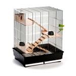 <strong title="FOP Cusca Pentru Rozatoare, Fedro Natura, 66x45x76 cm, 20910067 – cusca rezistenta pentru animale, cusca cu design modern pentru rozatoare, cusca pentru animale mici, cusca pentru animale mici cu jucarii">FOP Cusca Pentru Rozatoare, Fedro Natura, 66x45x76 cm, 20910067 – cusca rezistenta pentru...</strong>