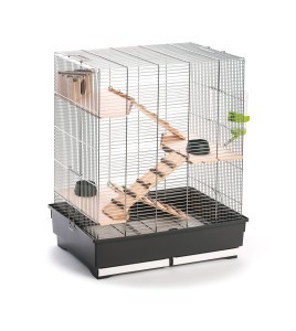 <strong title="FOP Cusca Pentru Rozatoare, Fedro Natura, 66x45x76 cm, 20910067 – cusca rezistenta pentru animale, cusca cu design modern pentru rozatoare, cusca pentru animale mici, cusca pentru animale mici cu jucarii">FOP Cusca Pentru Rozatoare, Fedro Natura, 66x45x76 cm, 20910067 – cusca rezistenta pentru...</strong>