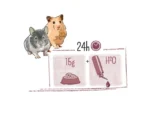 <strong title="Witte Molen Hrana Pentru Hamsteri, Puur, Musli Gourmet, 400 g, L654818 – hrana pentru hamsteri cu fructe, hrana pentru hamsteri cu legume, Puur hrana pentru rozătoare, hrana pentru hamsteri cu seminte">Witte Molen Hrana Pentru Hamsteri, Puur, Musli Gourmet, 400 g, L654818 – hrana pentru hamsteri cu...</strong>