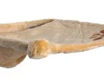 Sezlong Pentru Montare Pe Perete, 42×41 cm, Bej, 43511