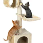 <strong title="Trixie Ansamblu De Joaca, San Fernando, 36×36 cm/ h: 106 cm, Bej, 43951 – ansamblu de joaca durabil pentru pisici, ansamblu de joaca bej pentru pisici, Ansamblu de joacă interactiv pentru pisici, Ansamblu de joacă sigur pentru pisici">Trixie Ansamblu De Joaca, San Fernando, 36×36 cm/ h: 106 cm, Bej, 43951 – ansamblu de joaca...</strong>