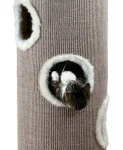 <strong title="Trixie Ansamblu De Joaca, Turn Edoardo, 40 cm/ h: 100 cm, Maro/Crem, 4338 – ansamblu de joaca durabil pentru pisici, Ansamblu de joacă interactiv pentru pisici, Ansamblu de joacă sigur pentru pisici, Ansamblu de joacă de calitate pentru pisici">Trixie Ansamblu De Joaca, Turn Edoardo, 40 cm/ h: 100 cm, Maro/Crem, 4338 – ansamblu de joaca...</strong>