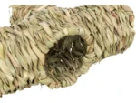 <strong title="Trixie Tunel De Iarba Pentru Rozatoare, 25x9x18 cm, Trixie 61127 – tunel pentru hamsteri, tunel de iarba pentru rozatoare, Iarba pentru rozătoare, Trixie Tunel De Iarba Pentru Rozatoare">Trixie Tunel De Iarba Pentru Rozatoare, 25x9x18 cm, Trixie 61127 – tunel pentru hamsteri, tunel...</strong>