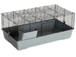 <strong title="FOP Cusca Pentru Rozatoare, Cavia 120, 120x50x60 cm, G152.37 – cusca pentru rozatoare, cusca iepuri, Cusca Pentru Rozatoare Cavia 120, Cusca Cavia 120">FOP Cusca Pentru Rozatoare, Cavia 120, 120x50x60 cm, G152.37 – cusca pentru rozatoare, cusca...</strong>