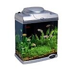 <strong title="Happet
Acvariu Pentru Pesti Cu Capac Si Led, FC200, 6.6 l, 22 x 14 x 28 cm, H006 – acvariu hailea fc200, acvariu 6.6 litri, acvariu cu capac si led, acvariu argintiu pesti">Happet
Acvariu Pentru Pesti Cu Capac Si Led, FC200, 6.6 l, 22 x 14 x 28 cm, H006 –...</strong>