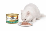 <strong title="Purina
 
  Hrana Umeda Pentru Pisici, Gourmet Gold, Terrine Cu Iepure, 85 g – hrana umeda pisici, Gourmet Gold, pisici adulte, fără conservanți">Purina
 
  Hrana Umeda Pentru Pisici, Gourmet Gold, Terrine Cu Iepure, 85 g – hrana umeda pisici,...</strong>