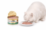 <strong title="Purina
 
  Hrana Umeda Pentru Pisici, Gourmet Gold, Terrine Cu Iepure, 85 g – hrana umeda pisici, Gourmet Gold, pisici adulte, fără conservanți">Purina
 
  Hrana Umeda Pentru Pisici, Gourmet Gold, Terrine Cu Iepure, 85 g – hrana umeda pisici,...</strong>