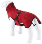 <strong title="Trixie Hainuta Minot, XS: 30 cm, Rosu, 67981 – hainuta minot, caini cu hainute rosii, accesorii pentru câini, caini si hainute">Trixie Hainuta Minot, XS: 30 cm, Rosu, 67981 – hainuta minot, caini cu hainute rosii, accesorii...</strong>